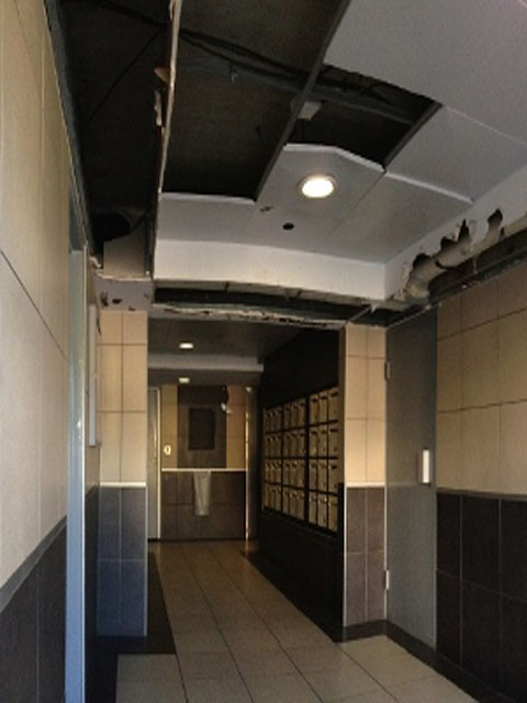 Plafond Inox hall d’entrée